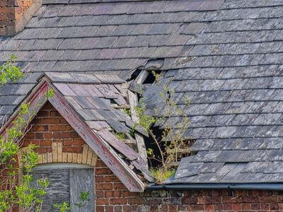 Professional emergency water removal services in Fort Irwin